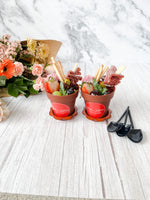 Load image into Gallery viewer, Pot Plant Charcuterie Cups
