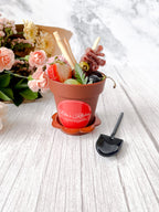 Garden Charcuterie Cups